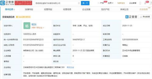 吉利新成立8家公司，技術推廣服務成核心戰略